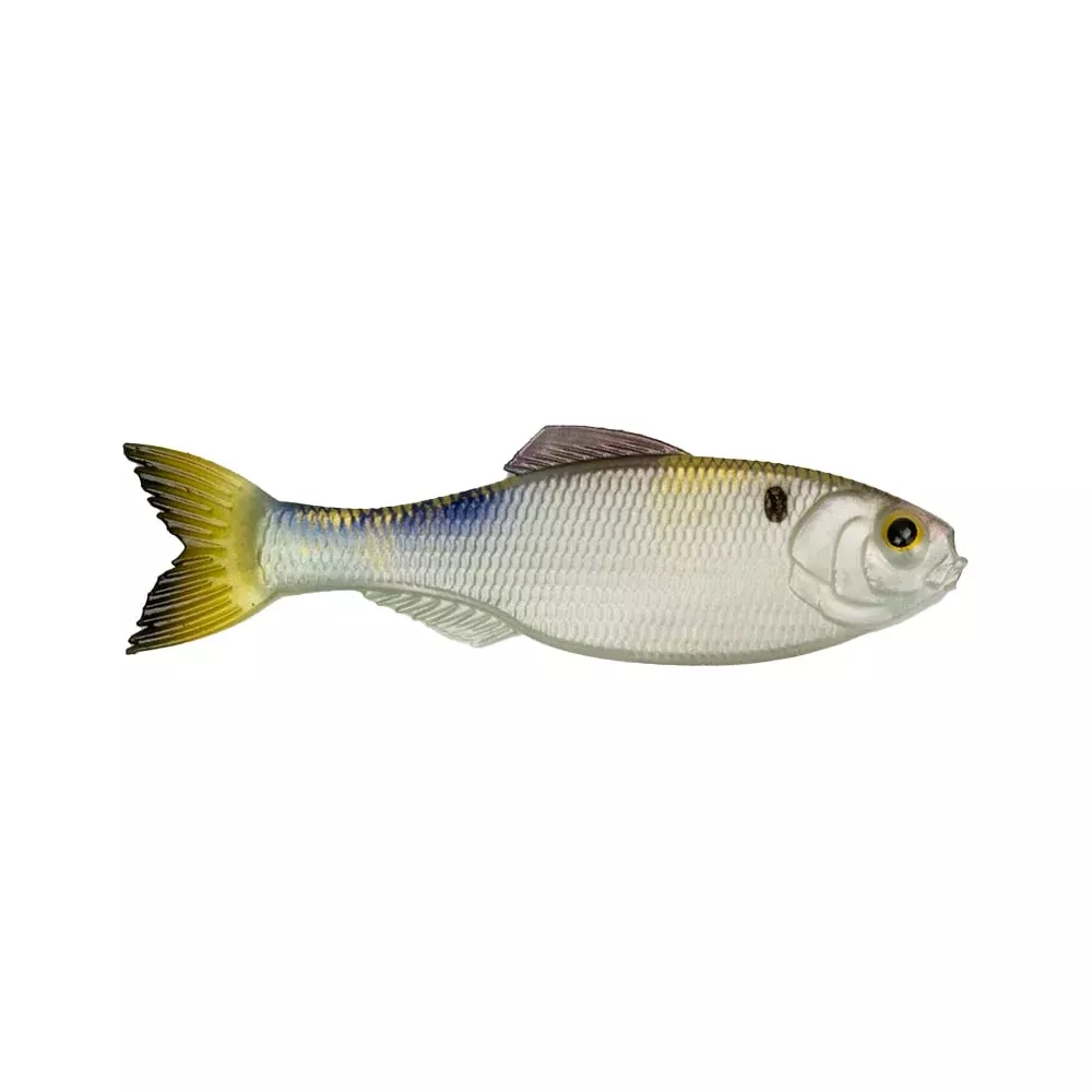 6th Sense Panorama Baitfish