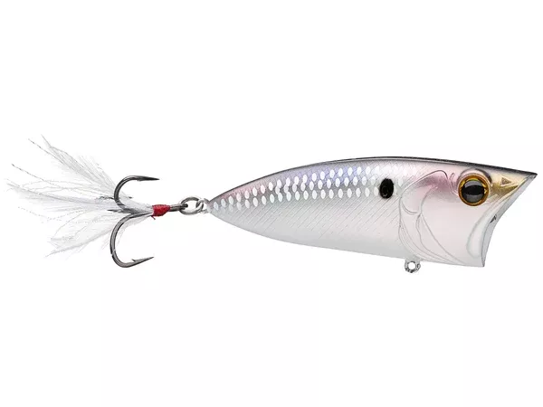 6th Sense Splash Back Popper