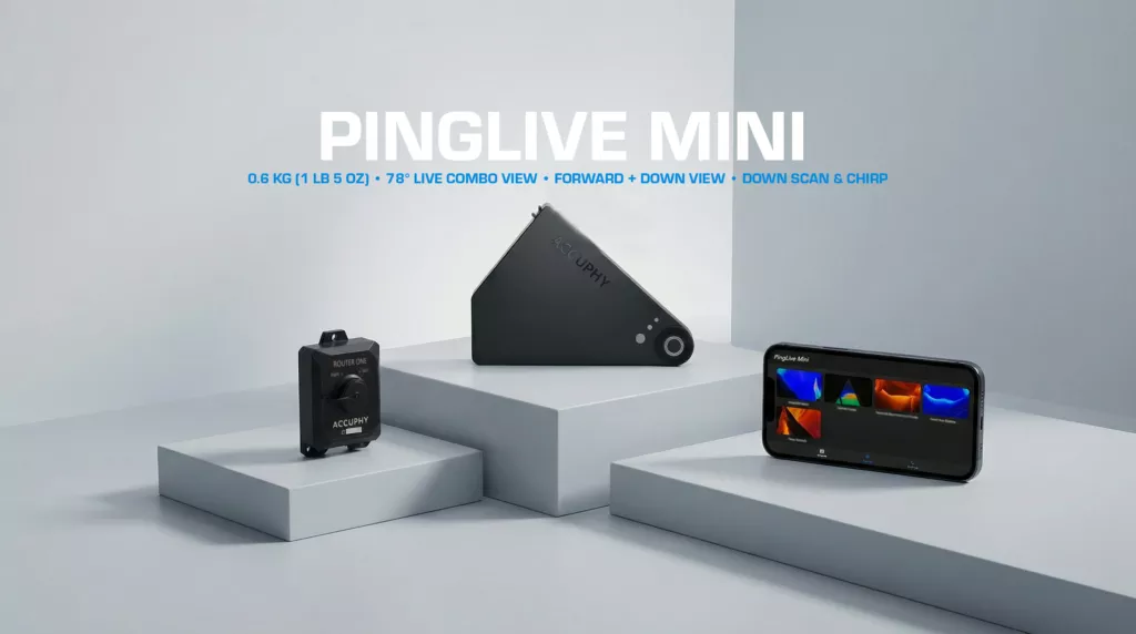 Accuphy PingLive Mini