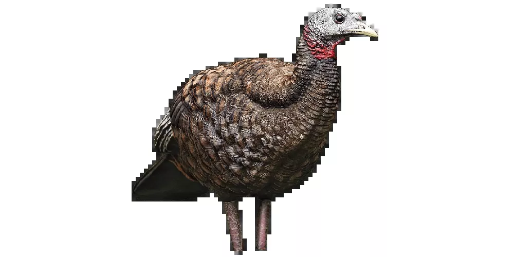 AVIAN-X TURKEY LCD DECOY SERIES