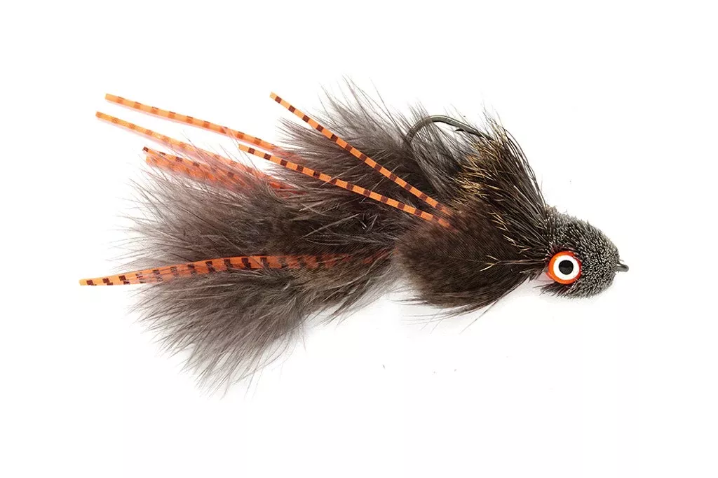 Bank Robber Sculpin