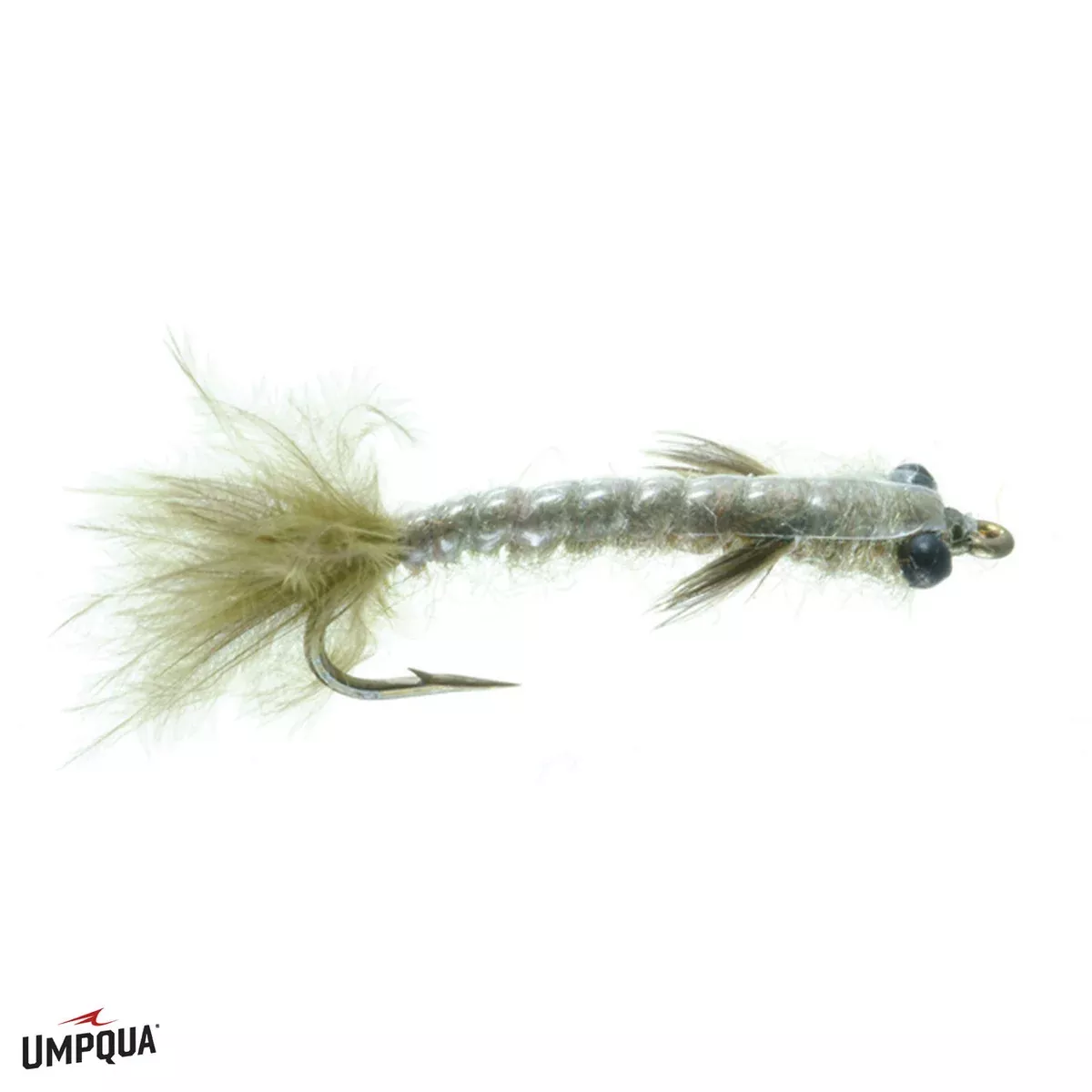 Barr's Damsel Nymph