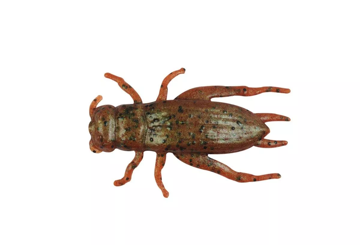 Berkley Gulp Cricket