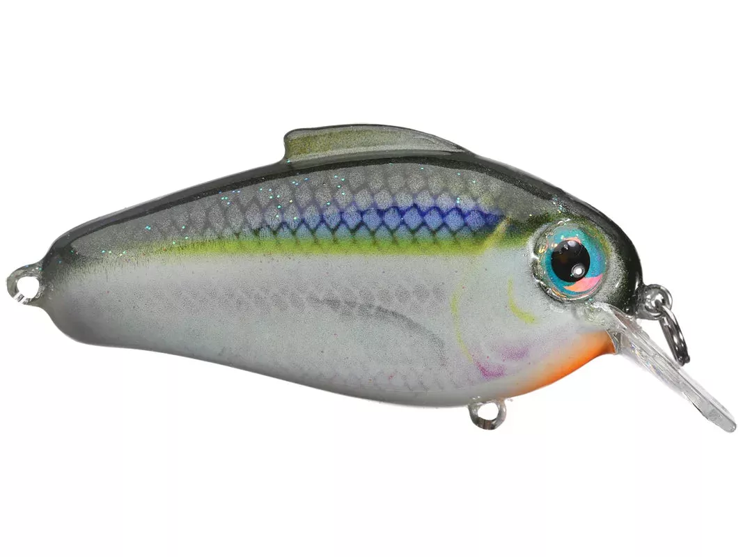 Bill Lewis Echo 1.75