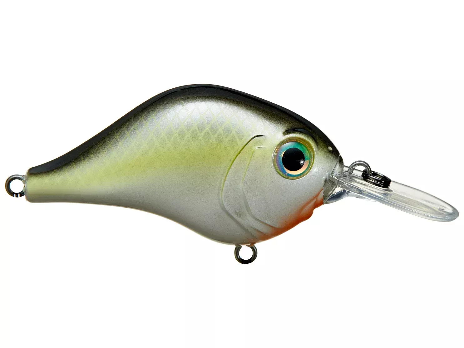 Bill Lewis MR-6 Crankbait