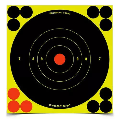 Birchwood Casey Shoot N C Target