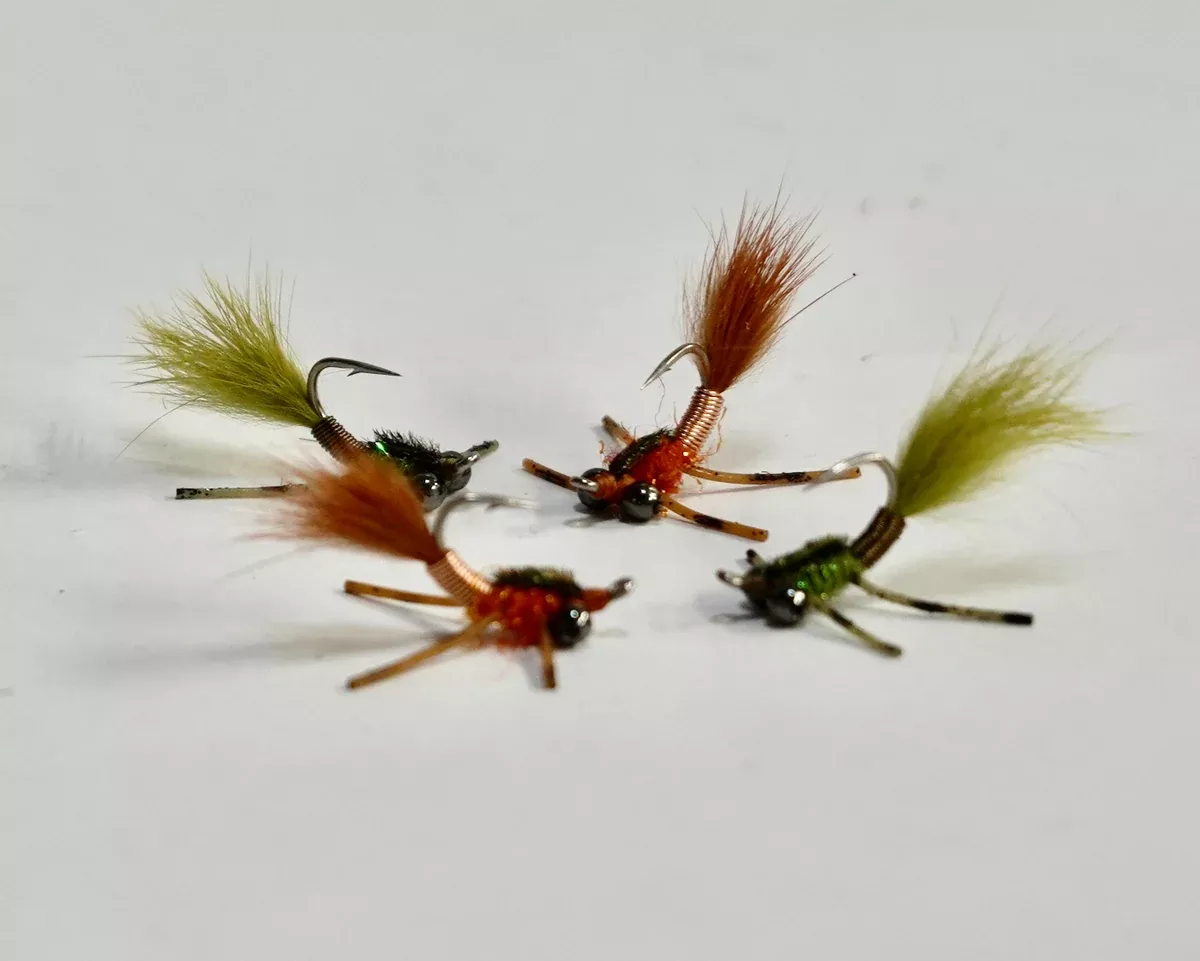 Brass Hawk #8
