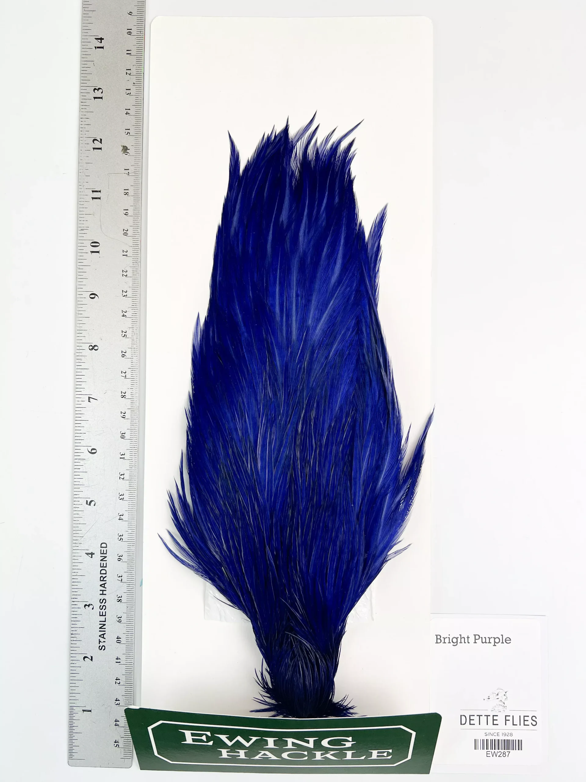 Bright Purple - Ewing Rooster Cape