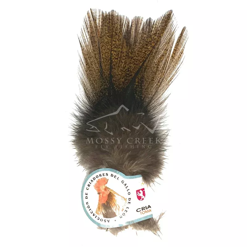 Coq De Leon Feathers
