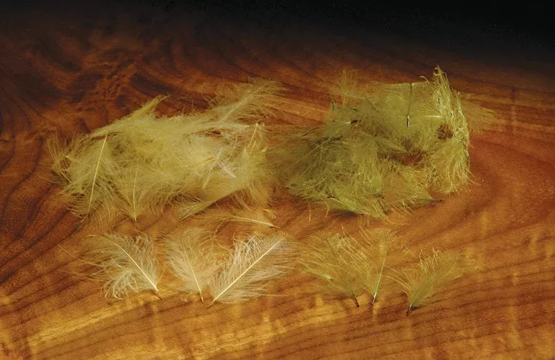 Cul de Canard CDC Plumes