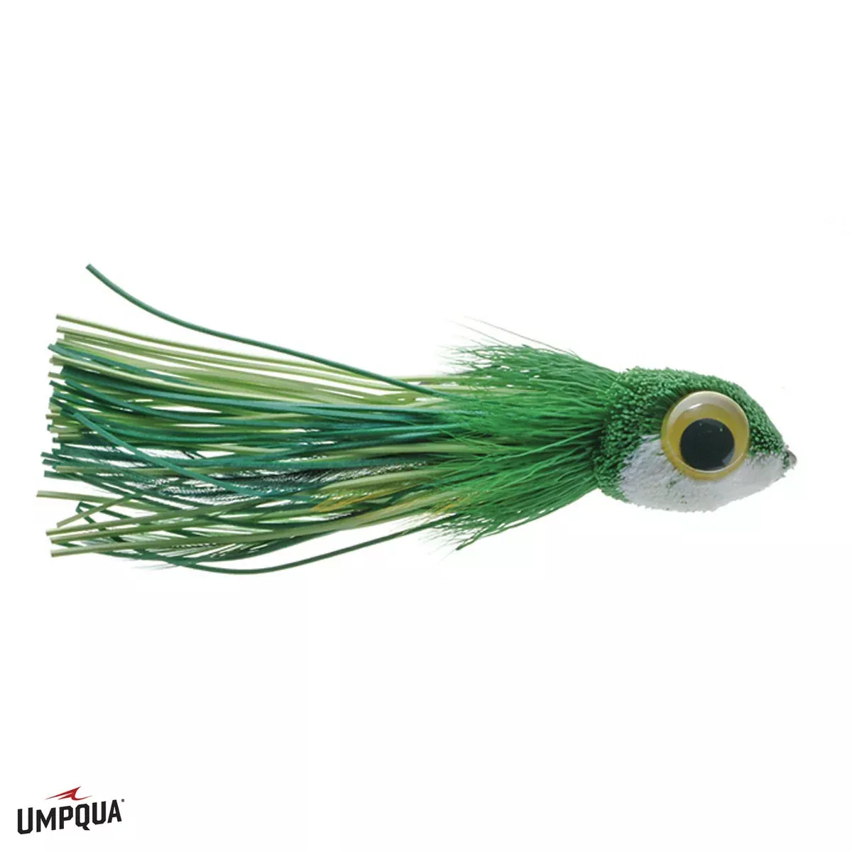 Dahlberg's Skipper Frog #1/0