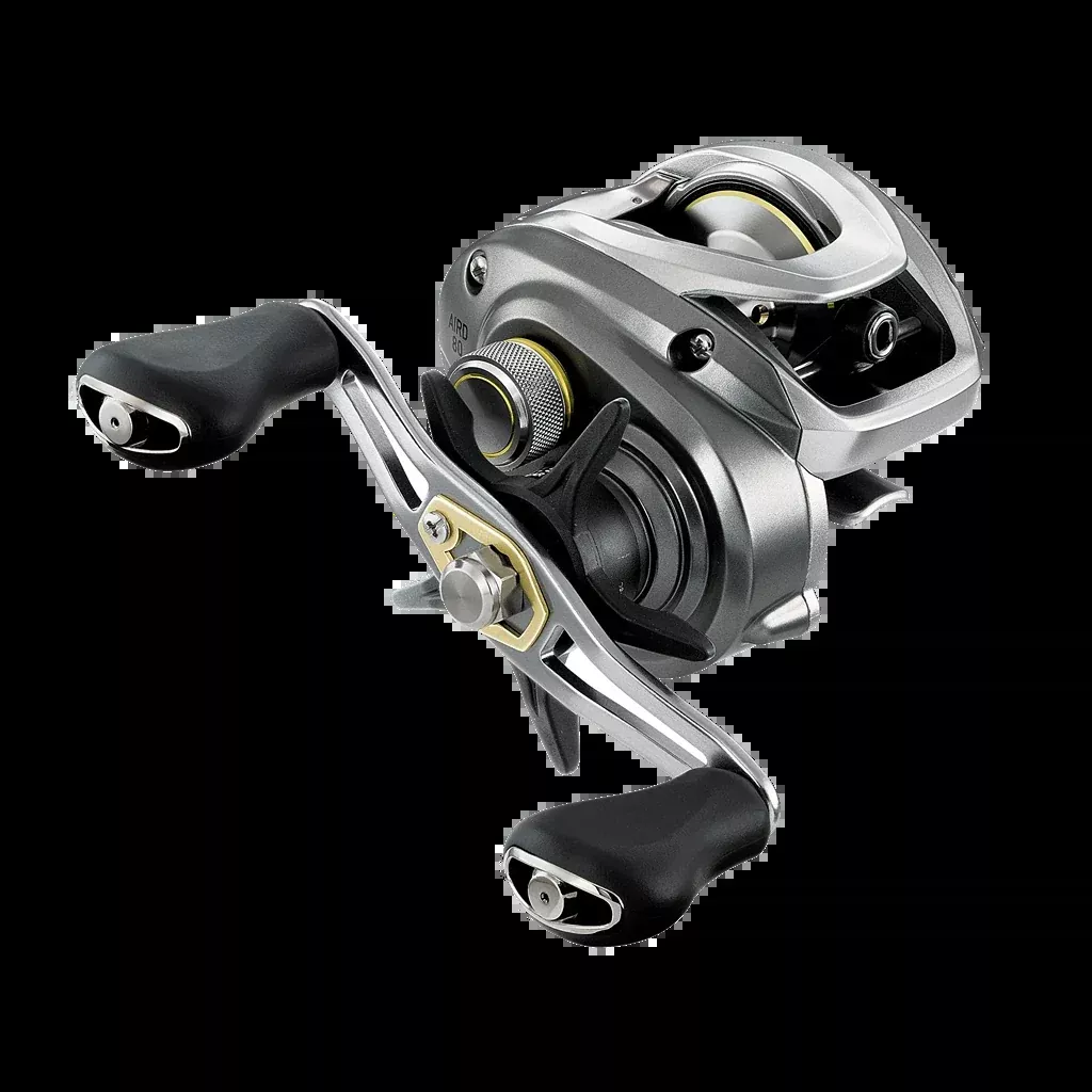 Daiwa Aird 80H Casting Reel