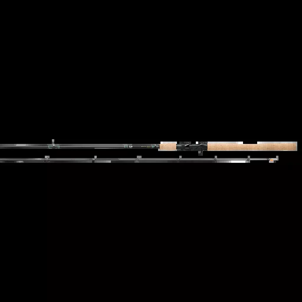 Daiwa North Coast SS Casting Rod