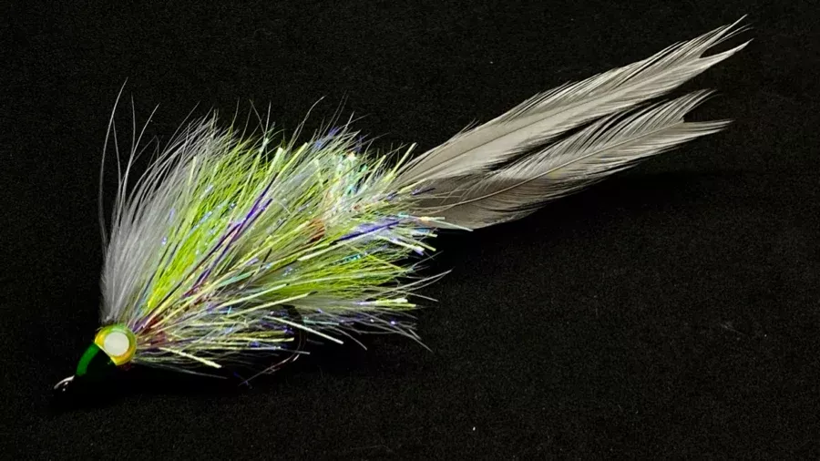 Decepticon Baitfish