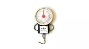 Eagle Claw Scales