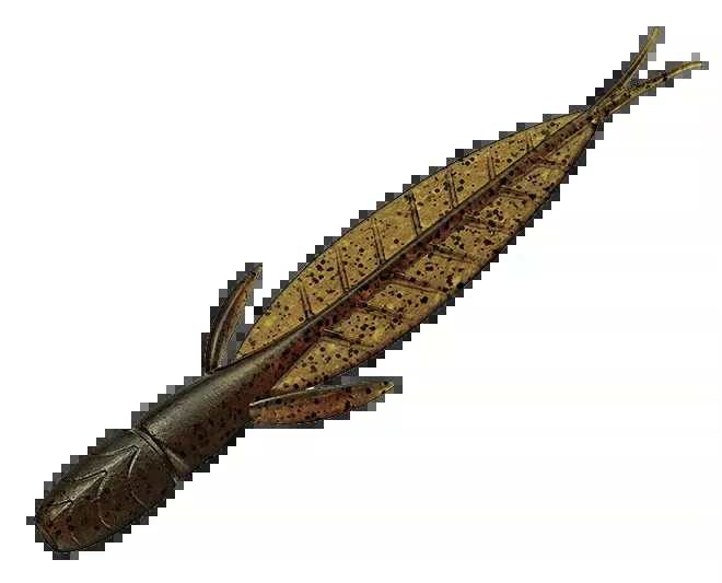 EVERGREEN INTERNATIONSL C-4 LEECH