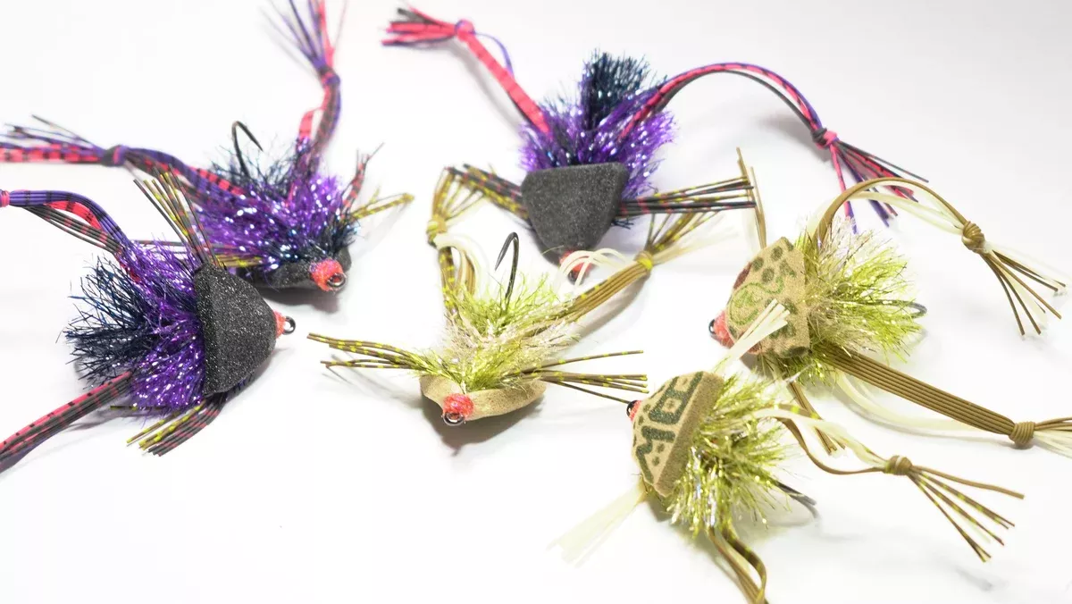 Frog Wild In Stock