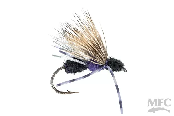 Galloup's Ant Acid Black & Purple
