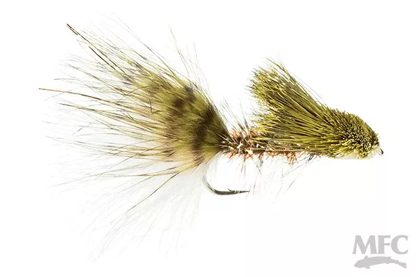 Galloup's Cactus Woolly Sculpin #4