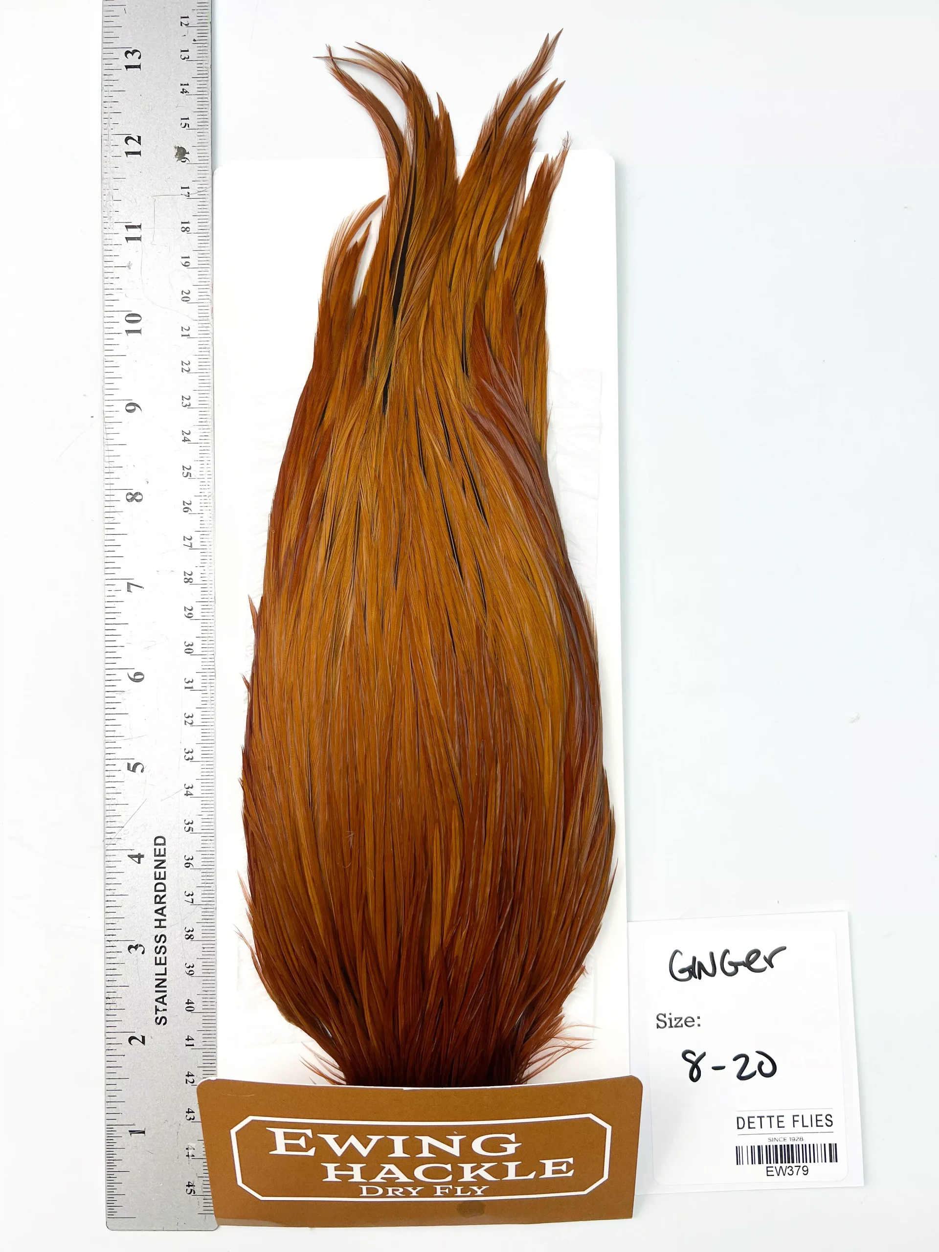 Ginger - Ewing Dry Fly Rooster Cape (379)