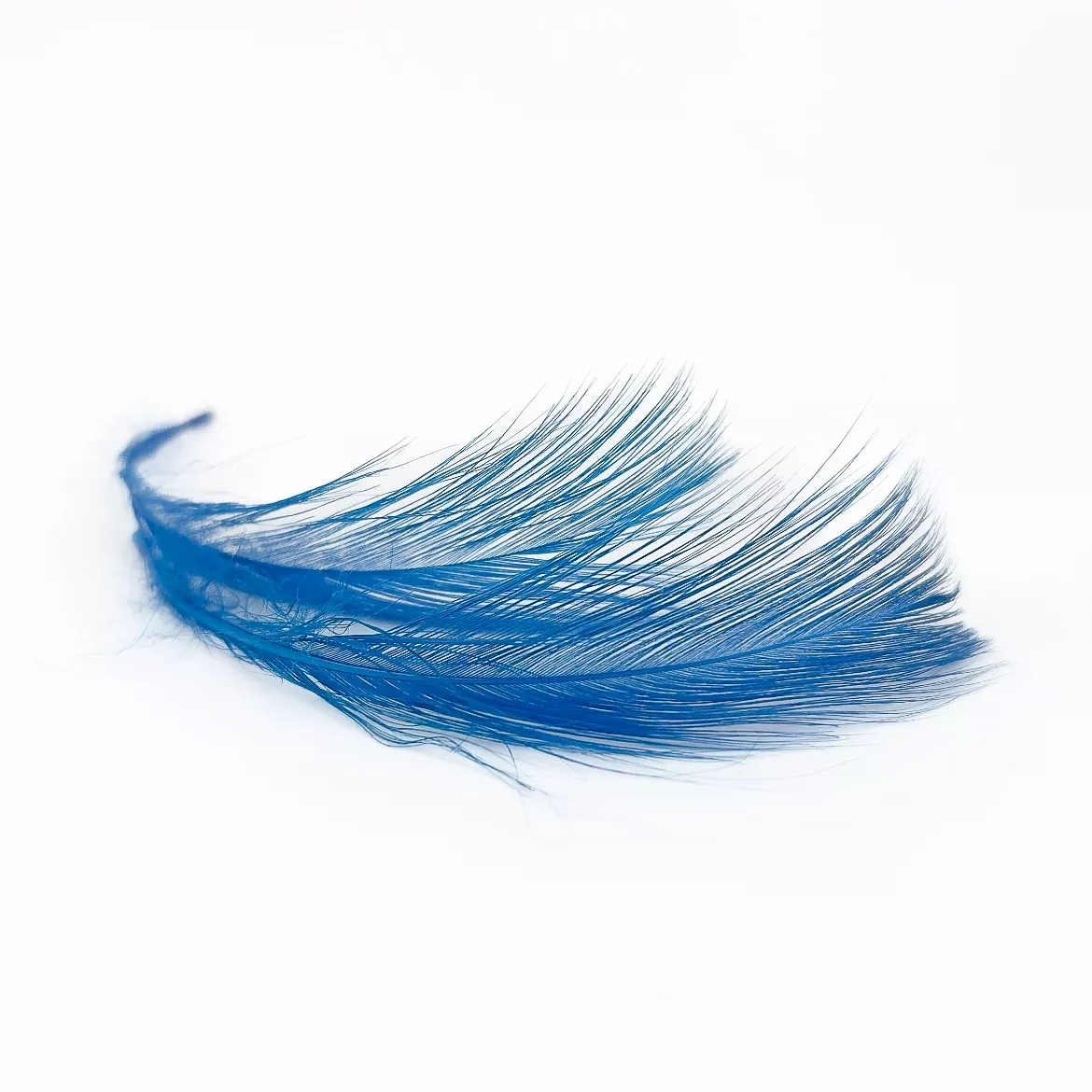 Goose Flank Spey Hackle
