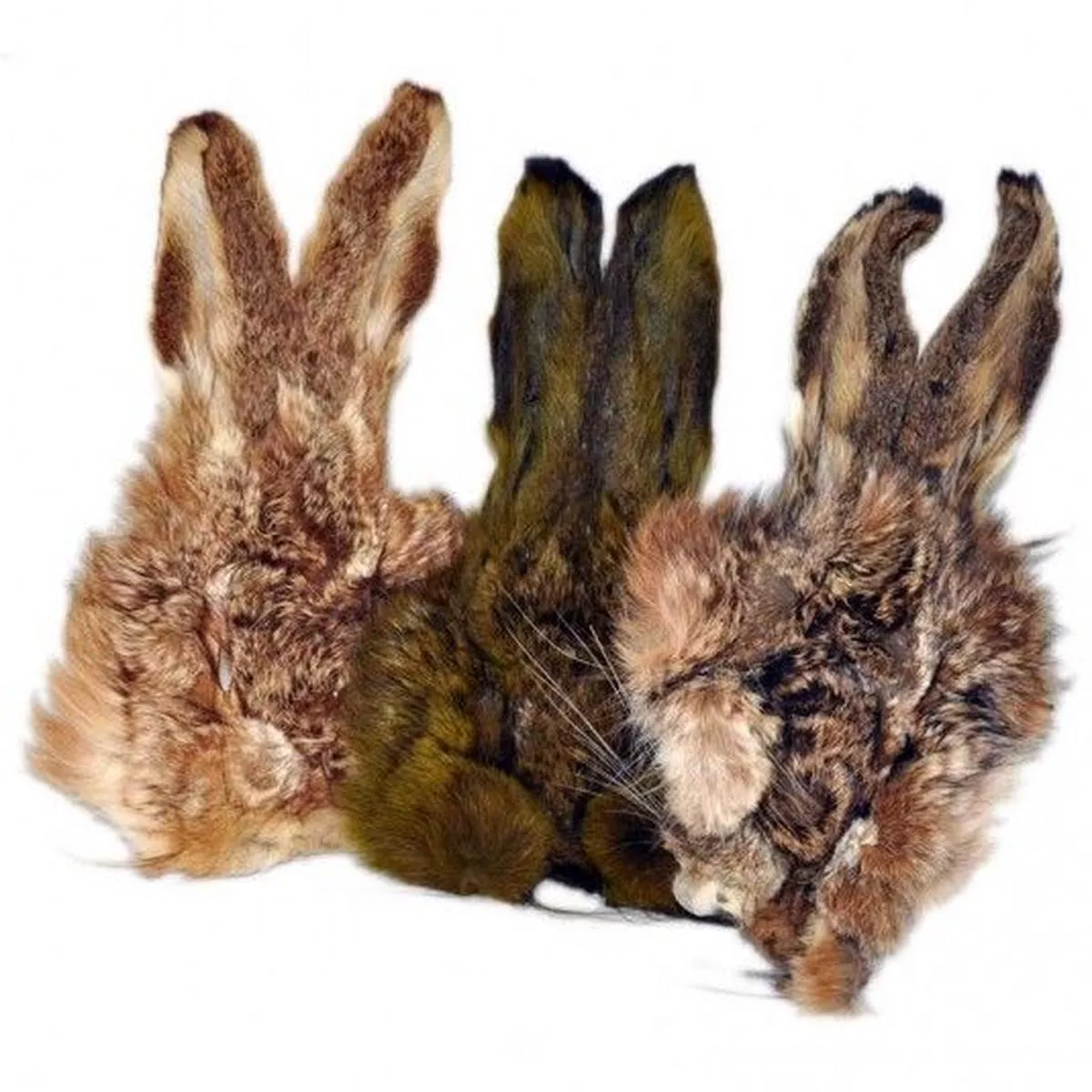 Hare's Mask
