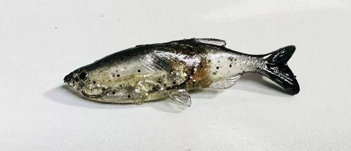 HUDDLESTON WEEDLESS GRASS MINNOWS
