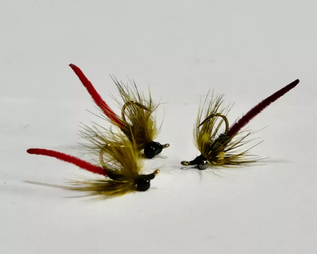 Hybrid Bug #8 In Stock