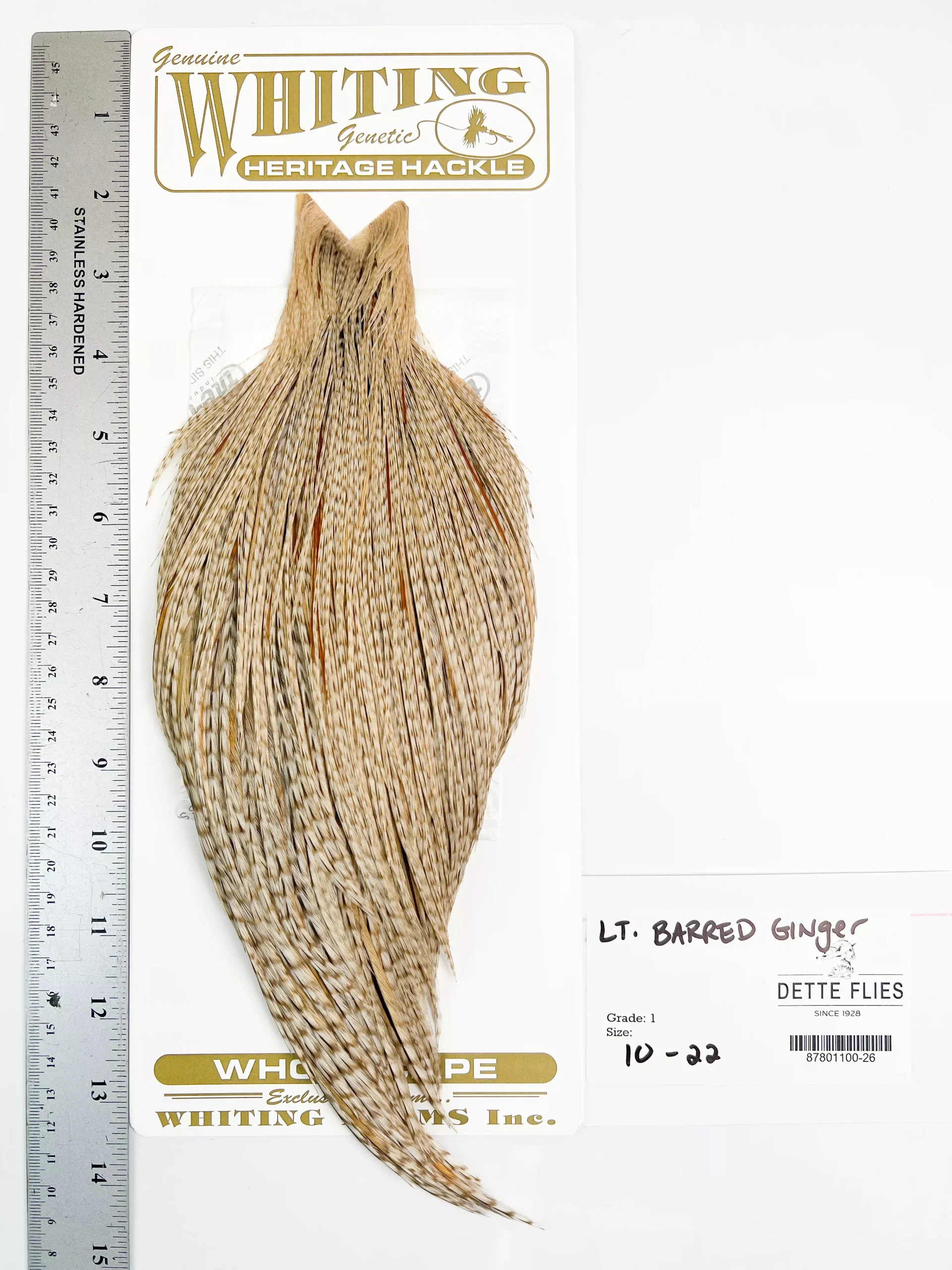 Light Barred Ginger - Whiting Heritage Hackle Rooster Cape- Grade 1