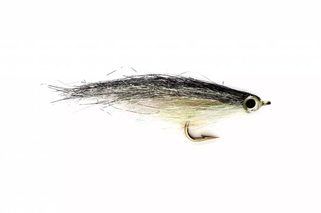 Los Roques Minnow