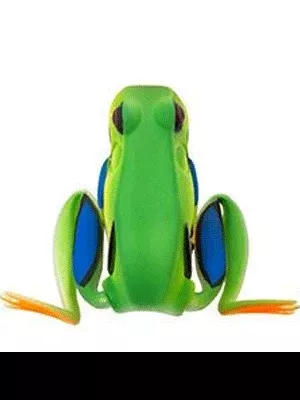Lunkerhunt Popping Frog
