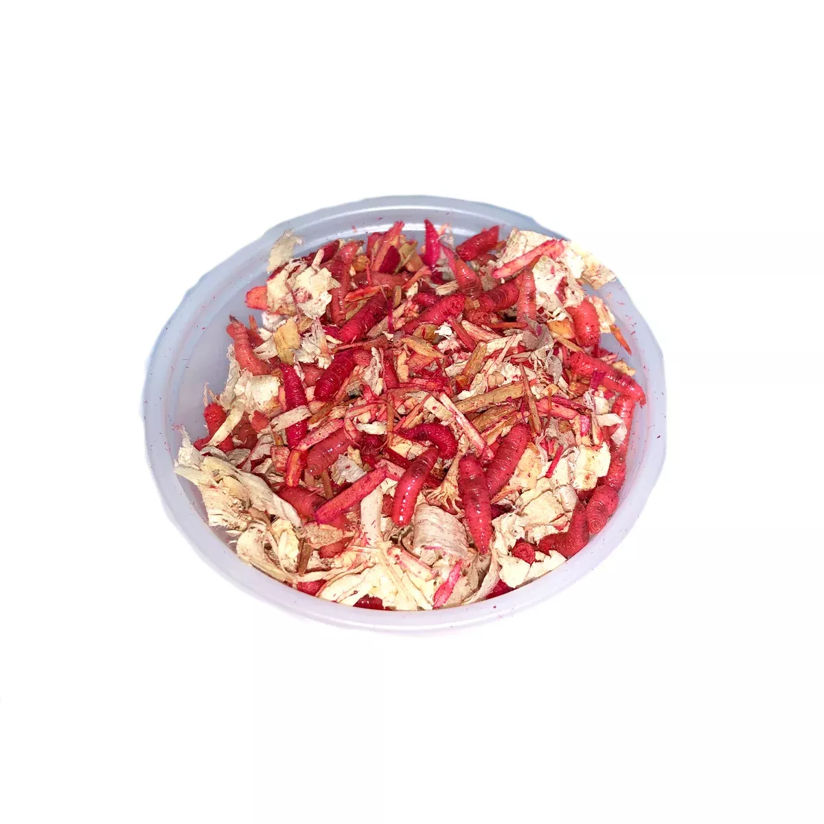 Maggots (100 Pack)