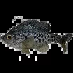 Mattlures Crappie