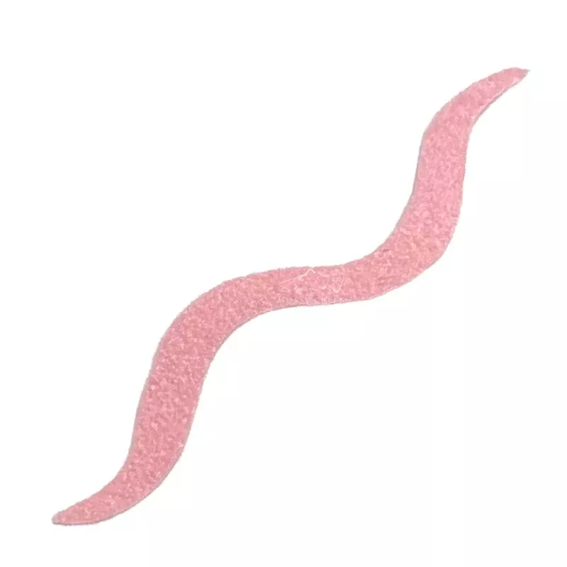 MC Suede Juan Worm Tail