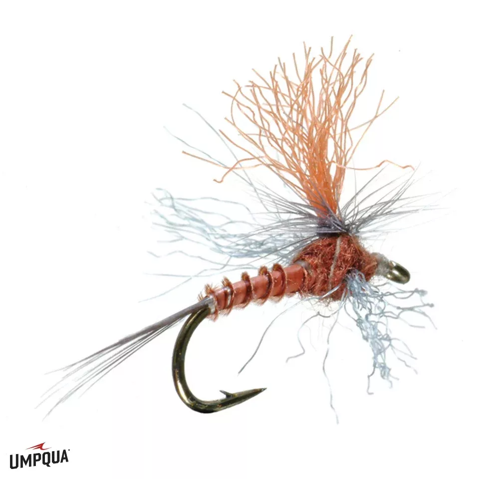 Mercer's Profile Spinner Rusty
