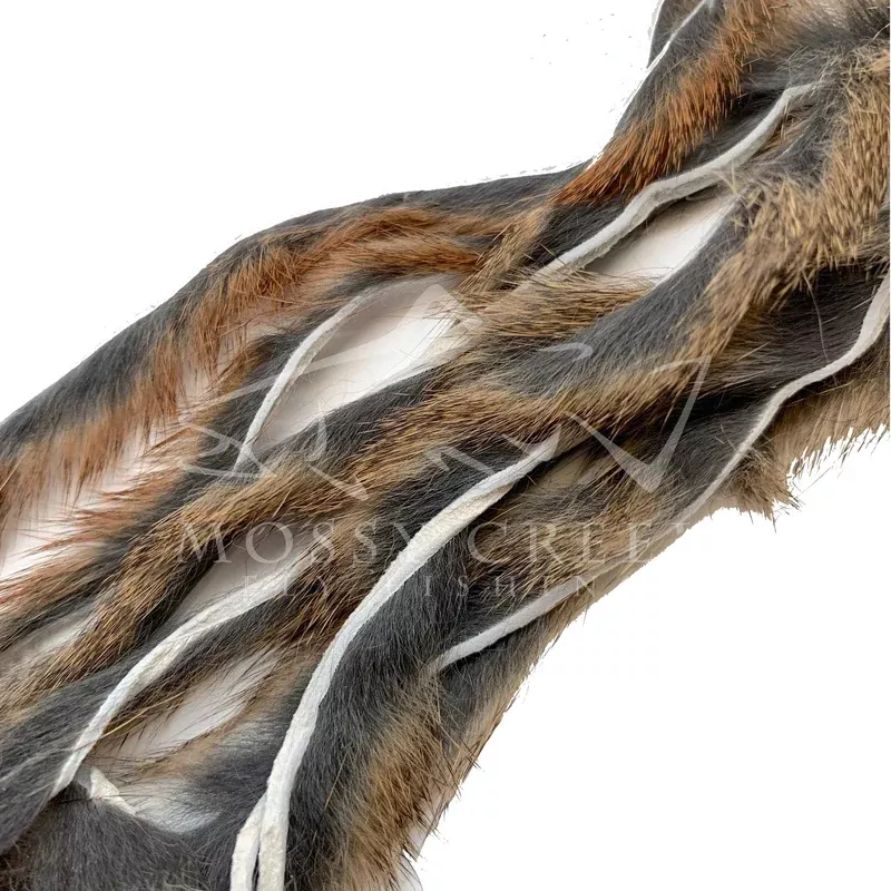Micro Pine Squirrel Zonkers