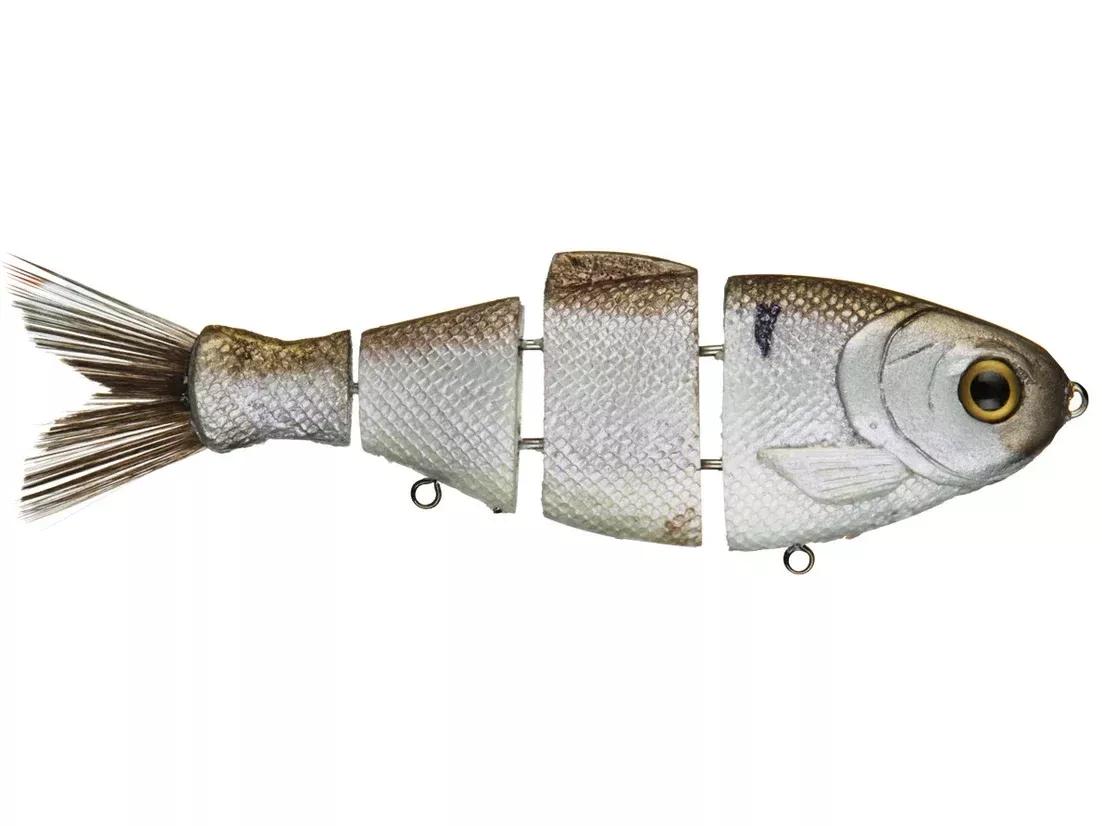 Mike Bucca Bull Shad