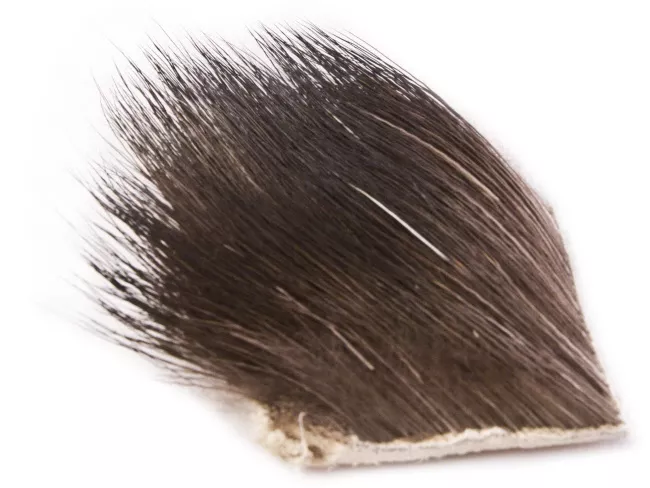 Moose Body Hair