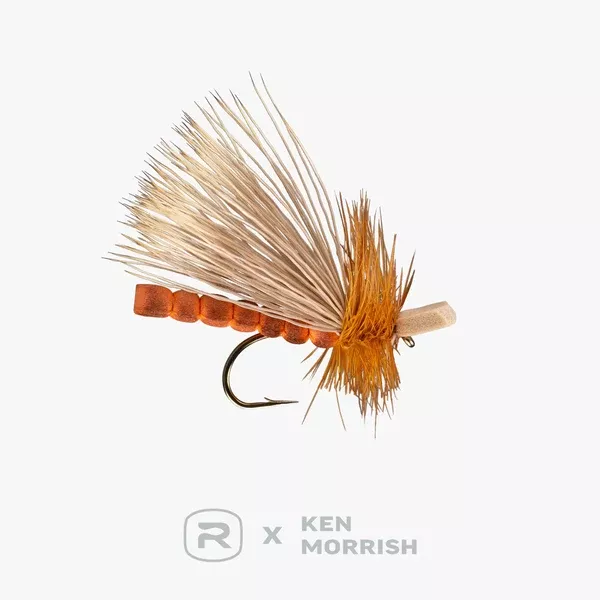 Morrish October Caddis