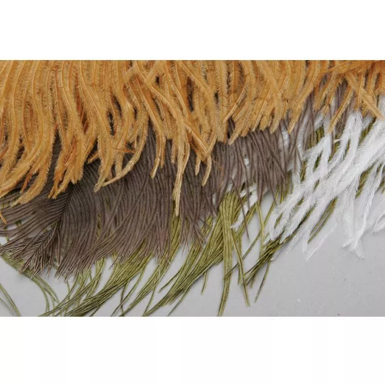 Ostrich Plumes