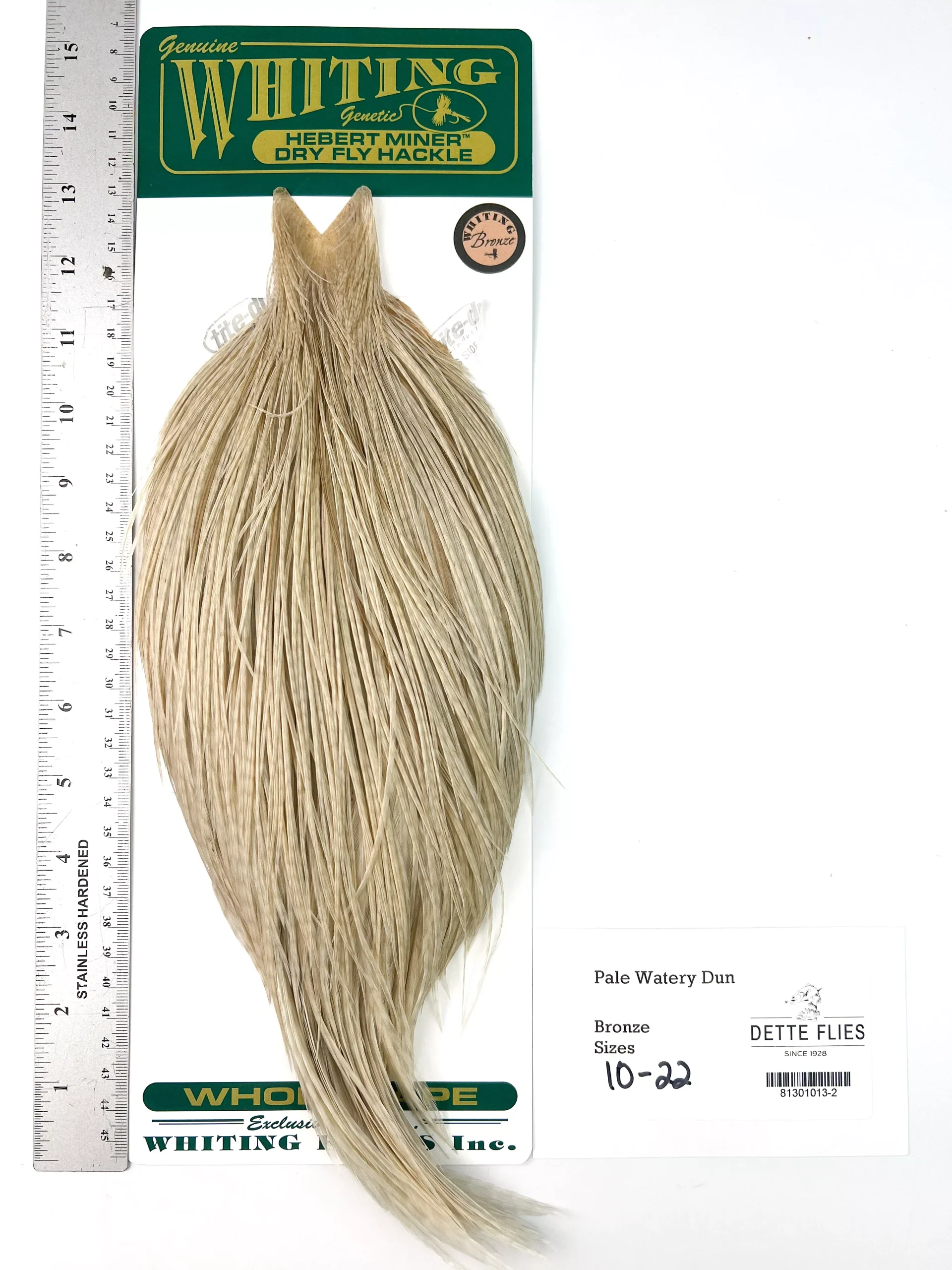 Pale Watery Dun - Whiting Hebert Rooster Cape | Bronze Grade