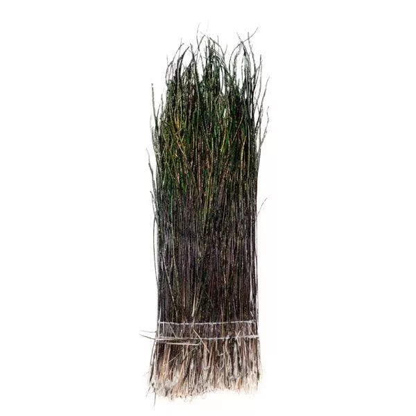 Peacock Herl Strung Natural