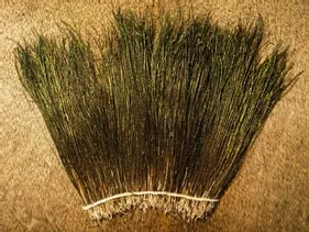 Peacock Herl