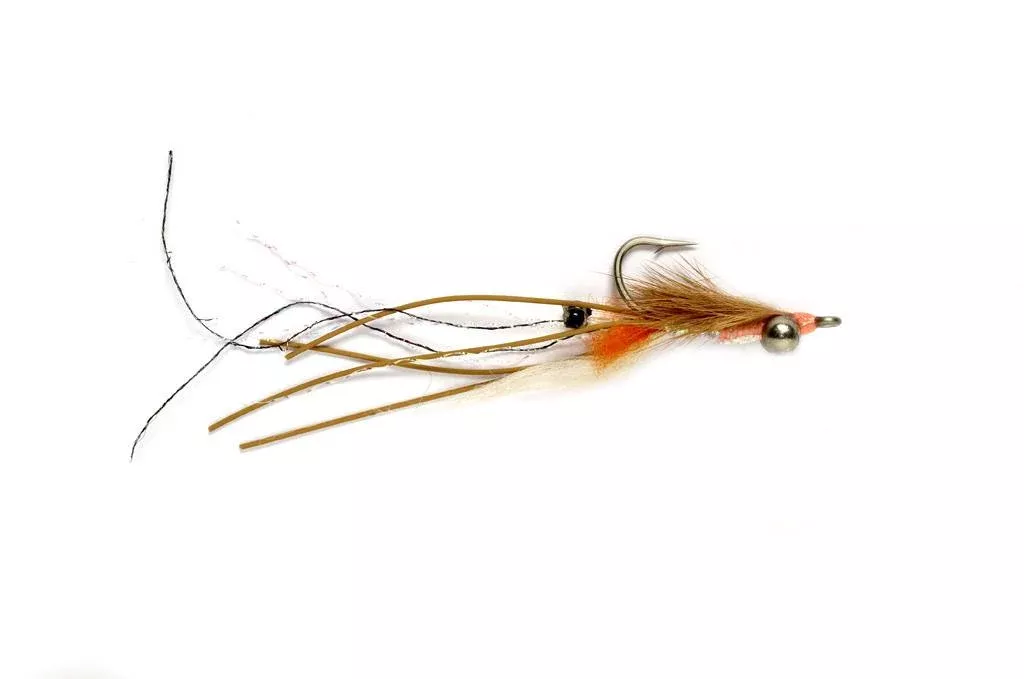 Petersons Spawning Shrimp