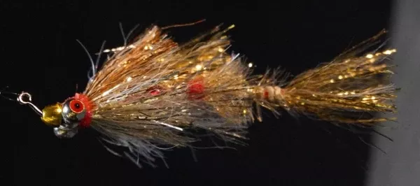 Ponzi Minnow
