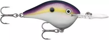 Rapala DT Crankbait 4 to 6