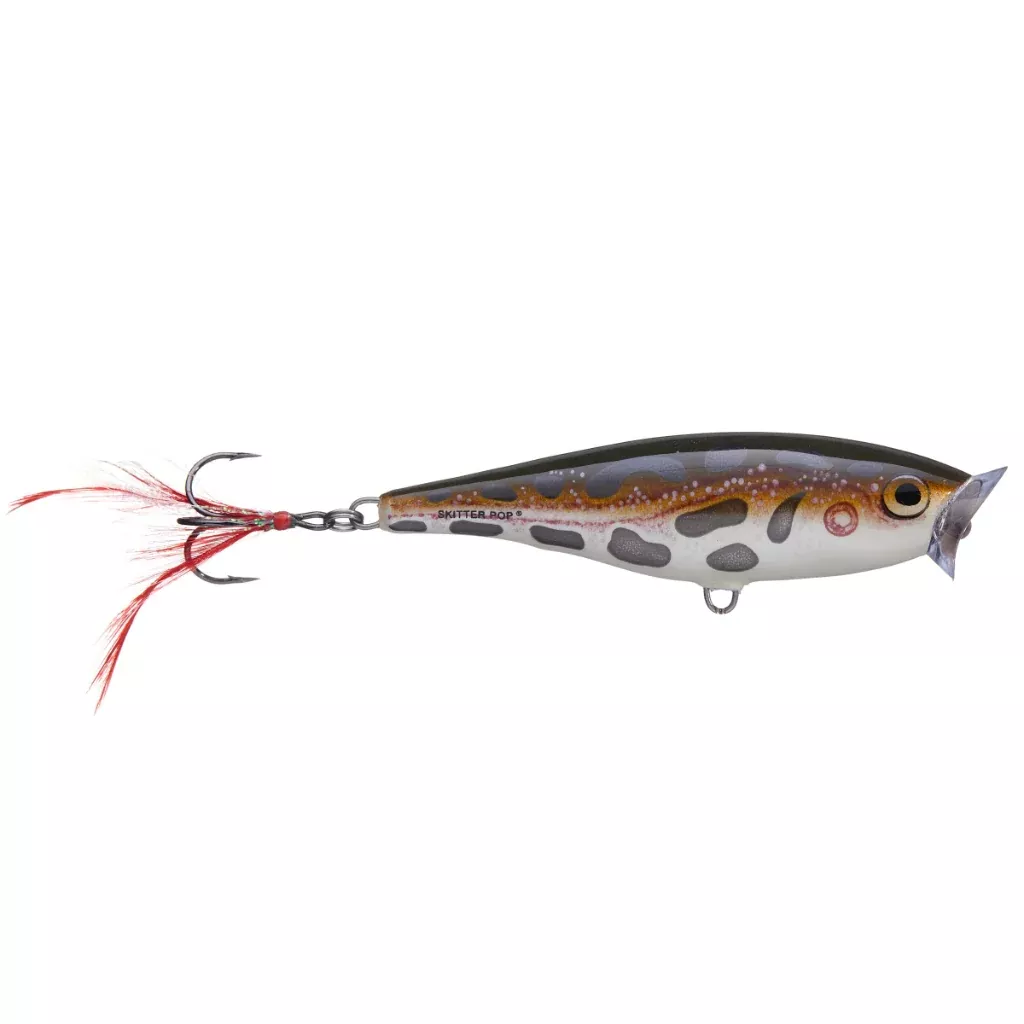 Rapala Skitter Pop Popper