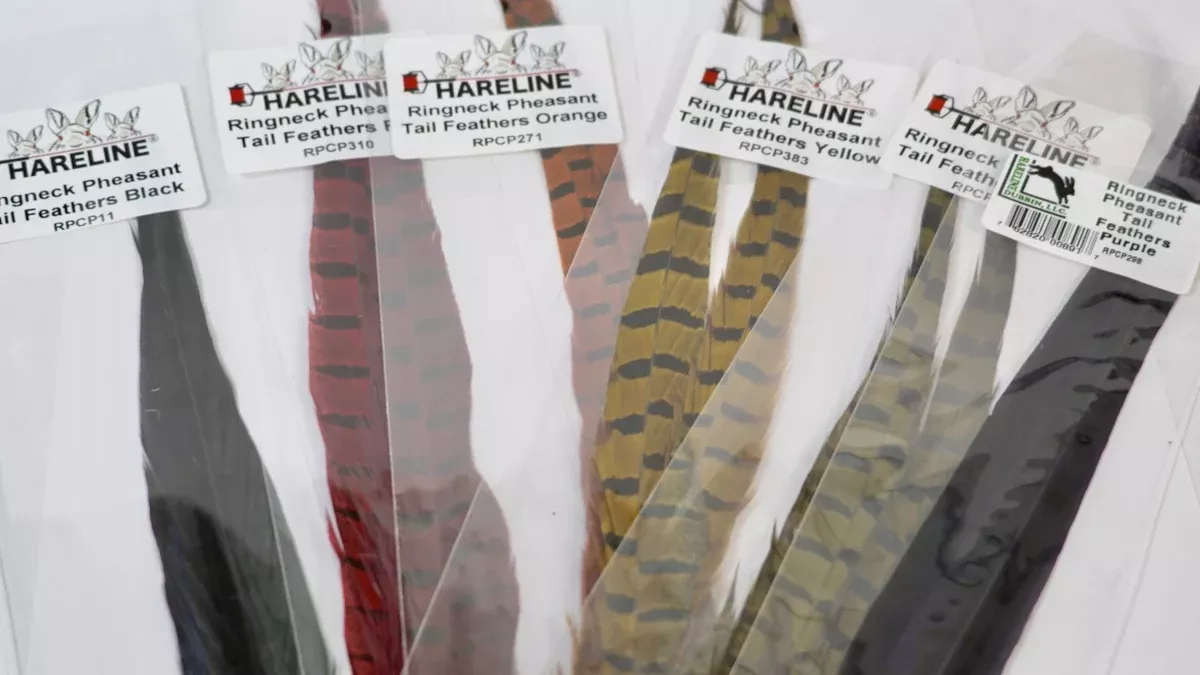 Ringneck Pheasant Tail Feathers