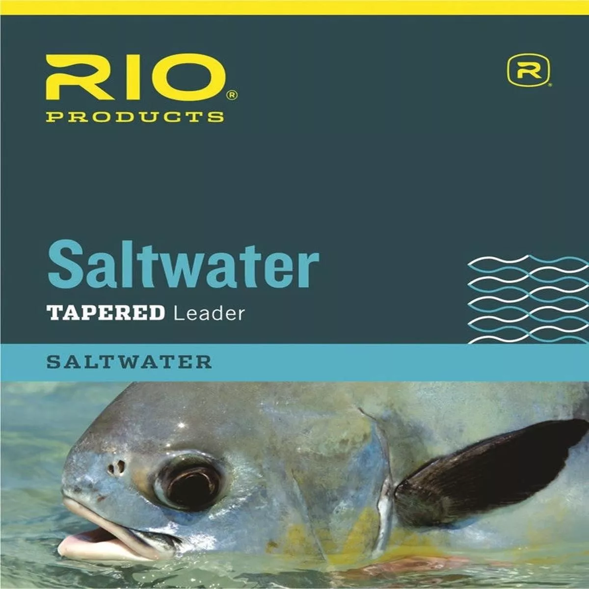Rio Saltwater Leader 10'