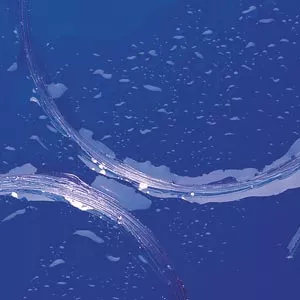 Royal Wulff Seawulff Fluorocarbon Tippet